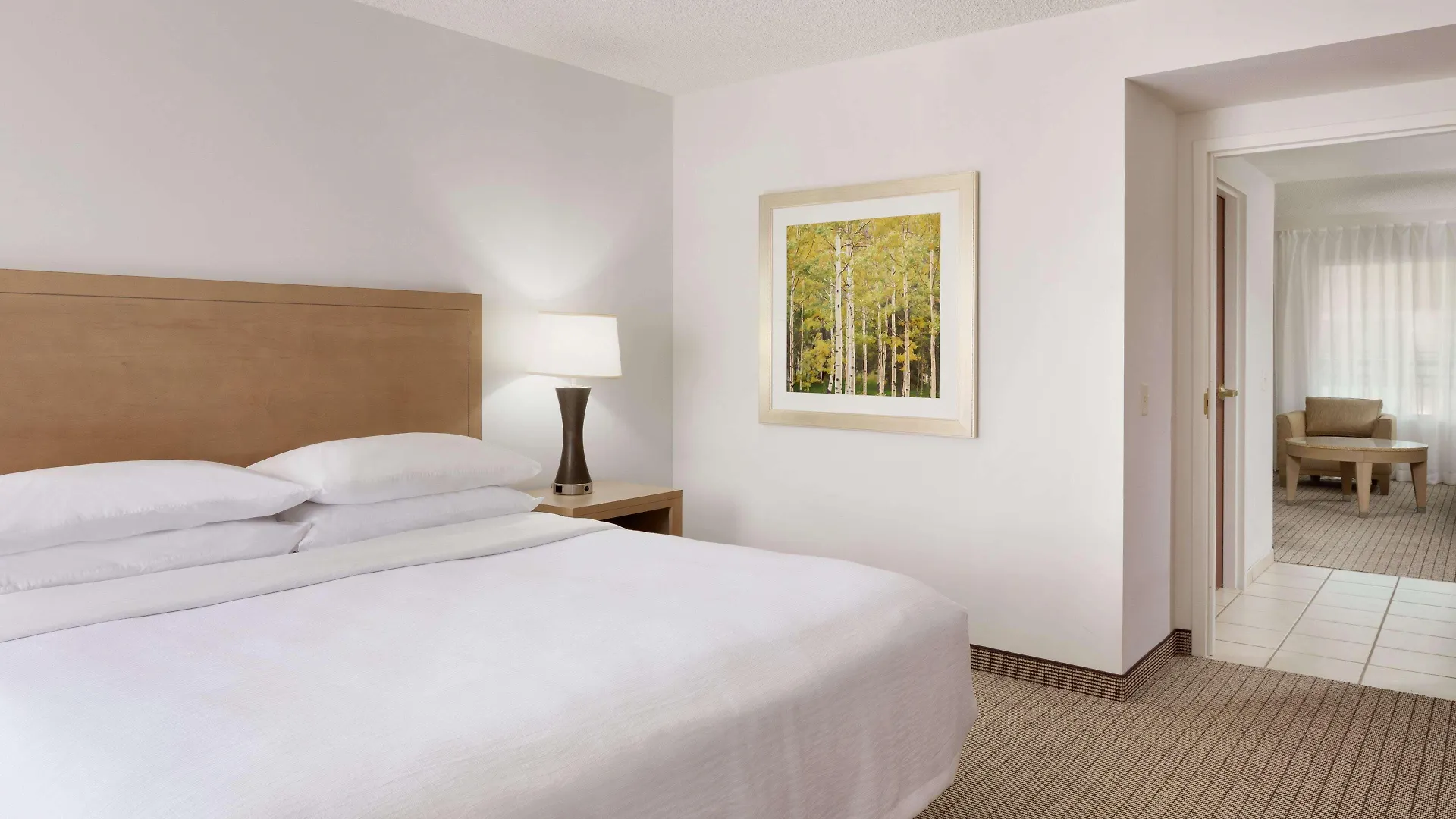 Embassy Suites By Hilton Denver International Airport United States