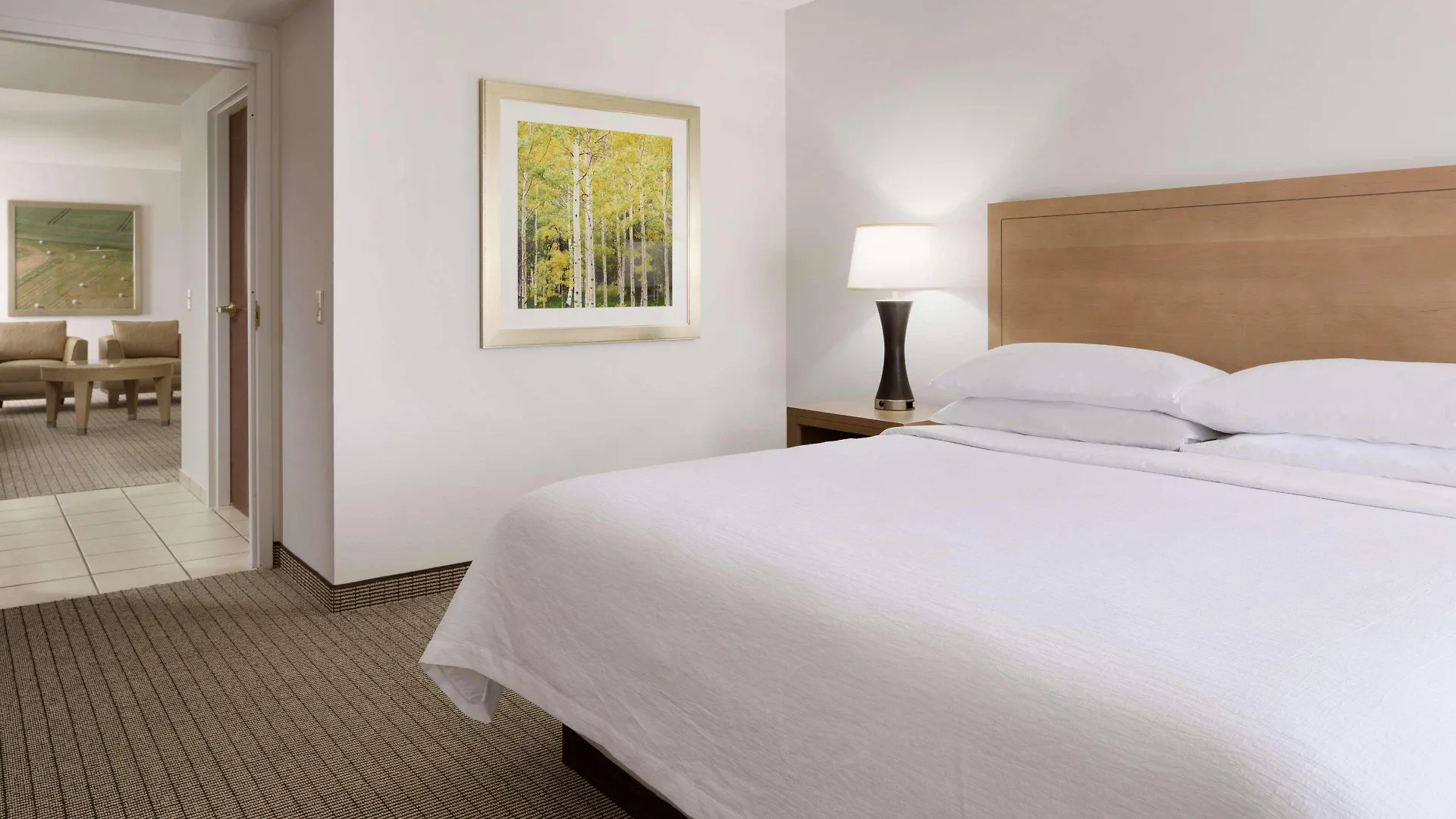 Embassy Suites By Hilton Denver International Airport